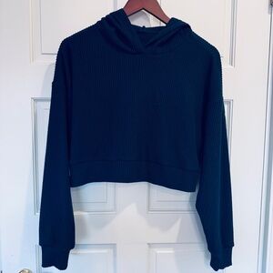 ALO Yoga Ribbed Cropped Hoodie in Black